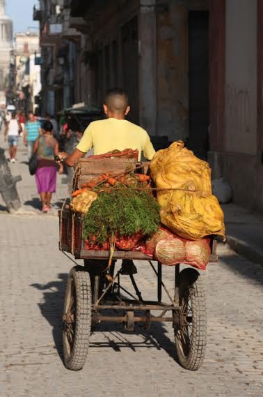 Old-Havana-vegetables
