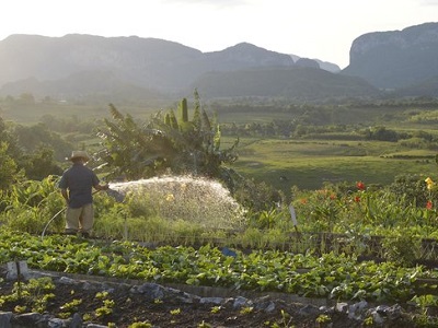 Farming Trip To Cuba