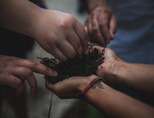 Solidarity After the Storm: Katrina Survivors Assist in Hurricane Maria Restoration Efforts