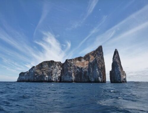 Ancient Culture and Galapagos Adventure: A Women’s TravelCircle to Ecuador