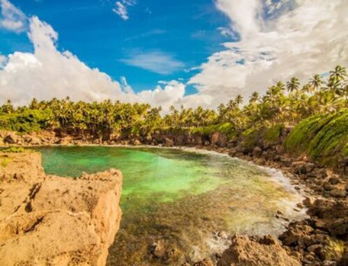 Exploring Puerto Rico: Nature, Community and Science in Action