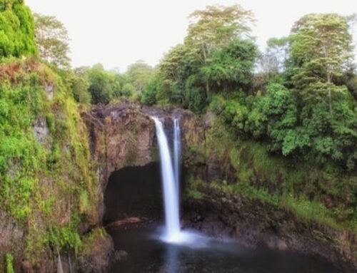 The Heart of Hawaii:  Family Retreat for Mind, Body & ʻĀina