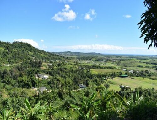 People, Food, & Sovereignty in Puerto Rico