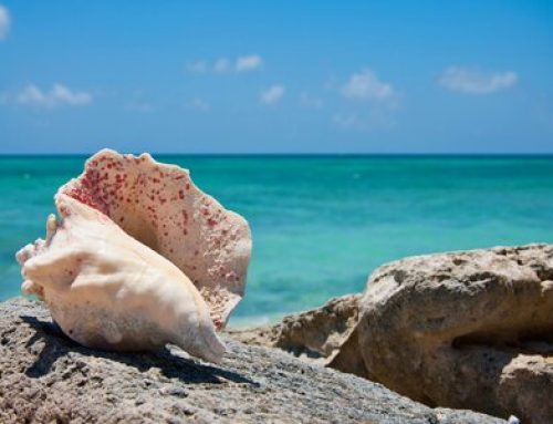 Beautiful By Nature in Turks and Caicos